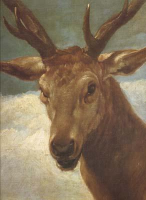Diego Velazquez Head of a Stag (df01) oil painting picture